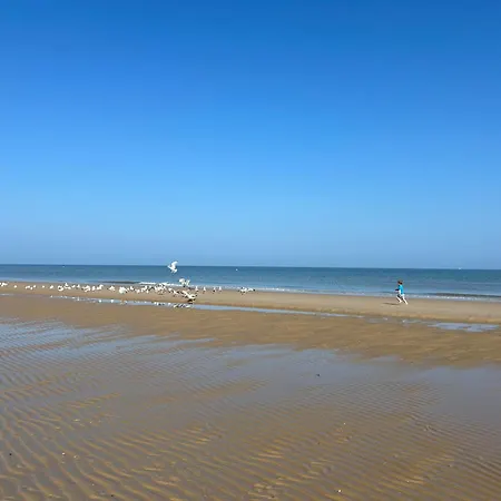 Zilte Rust - Zeedijk Appartamento Middelkerke